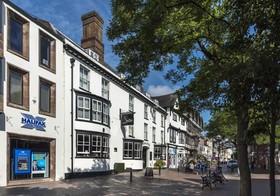 The Swan