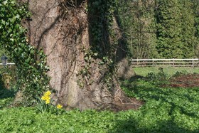 Lydney House