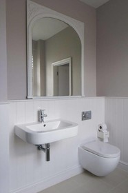 The Swan