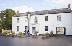 The Swan