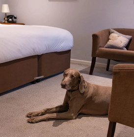 The White Hart Hotel