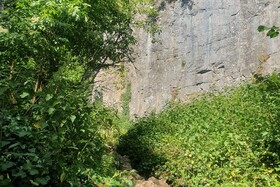 Tranquil Wells Retreat