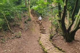 Tranquil Wells Retreat