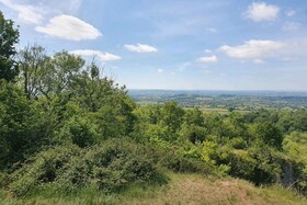 Tranquil Wells Retreat
