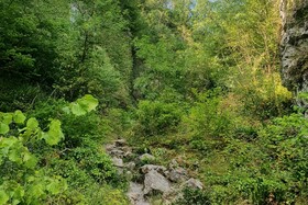 Tranquil Wells Retreat