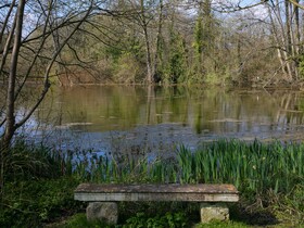 Norton Park Hotel, Spa & Manor House