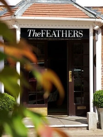 The Feathers