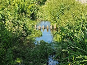 Streamside Apartments