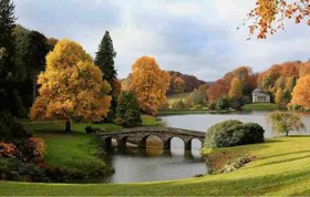 The Maple North Dorset