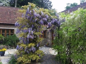 Wheelbrook Mill