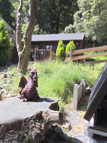 Bryn Dinas Camping Pods