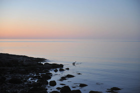 The Sea View Guest House