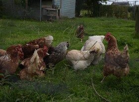 Cae Berllan Holiday Cottages