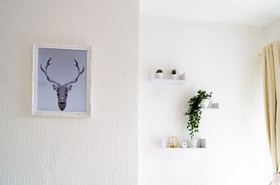 Phnix Central Luxury Accommodation