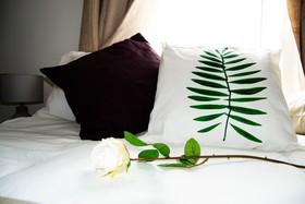 Phnix Central Luxury Accommodation