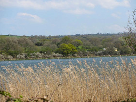 Brongwyn Holiday Cottages