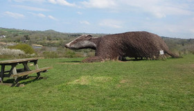 Brongwyn Holiday Cottages