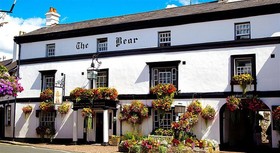 The Bear
