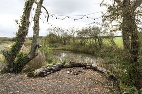 Lavender Luxurious Barn Conversion Blossom Farm