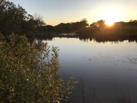 Lavender Luxurious Barn Conversion Blossom Farm