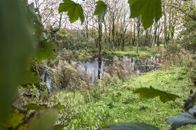 Lavender Luxurious Barn Conversion Blossom Farm
