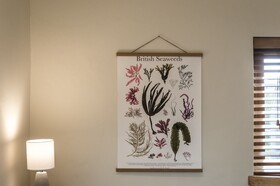 Lavender Luxurious Barn Conversion Blossom Farm