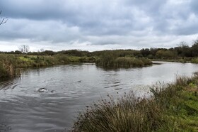 Lavender Luxurious Barn Conversion Blossom Farm