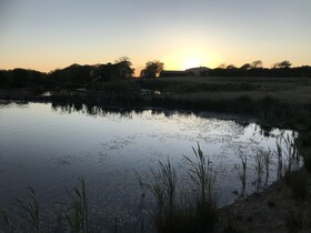 Lavender Luxurious Barn Conversion Blossom Farm