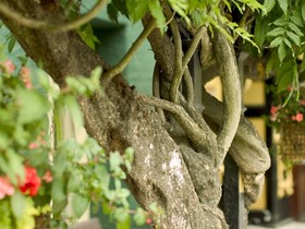 The Metropole Hotel & Spa