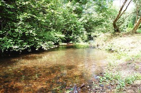 Pembrokeshire Yurts