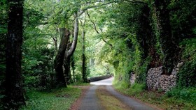 Eryl Cottage