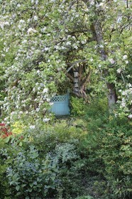 Ty Bryn Bed & Breakfast