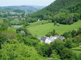 The Forest Country House B&B