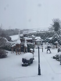 The Hilltop Haven