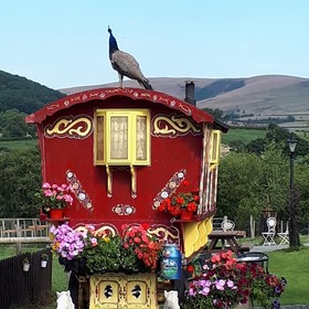 Rosie Gypsy Wagon