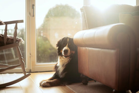 Luxury Cottage Eco Tub Logfire