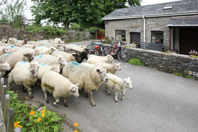 Swansea Valley Holiday Cottages