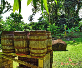 ClarenceVille Villa