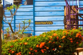 True Blue Bay Boutique Resort