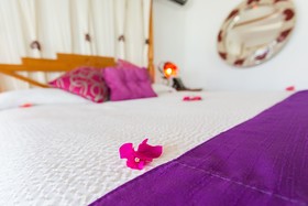 True Blue Bay Boutique Resort