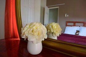 Hotel Carriacou Laurena