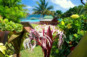 473 Grenada Boutique Resort
