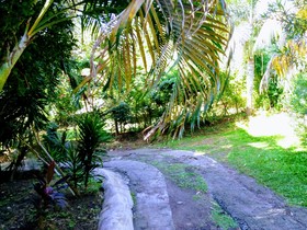 Condo Armonia