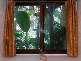 Condo Nautilo