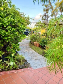 Limetree Villa