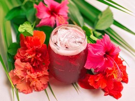 Mount Cinnamon Beach & Wellness Resort