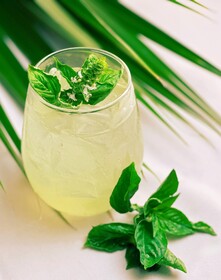 Mount Cinnamon Beach & Wellness Resort