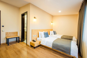Bakuriani Inn