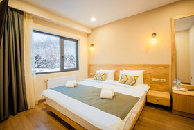 Bakuriani Inn