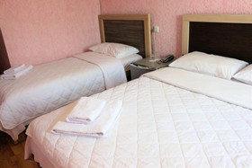 Hotel Vakhtanguri
